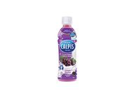 Calpis Cultured Grape 350ml