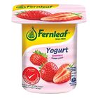 Fernleaf Yogurt Strawberry 110g - 545364