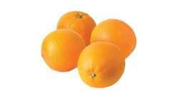 Navel Orange (Packet) 5 Pieces - 533449
