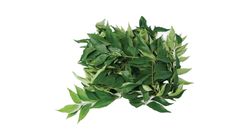Nature's Greens Daun Kari 50g - 502351