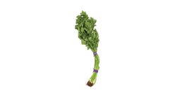 Nature's Greens Daun Sup 100g - 514400