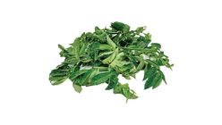 Nature's Greens Pucuk Manis 300g - 514402