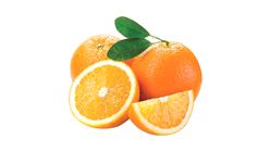 SA Valencia Orange (Packet) 6 Pieces - 515927