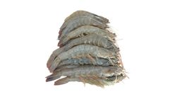 Udang Vannamei 500g - 581637