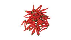 Ys Cili Padi Merah 100g - 582387