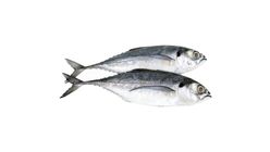 Ikan Cencaru 500g - 584324