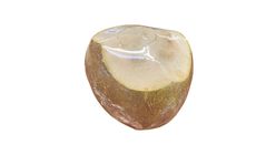 Top Off Coconut 1 Pack - 407880
