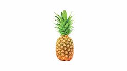 Pineapple MD2 M 700g - 596760