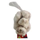 Bawang Putih China 480g - 452483