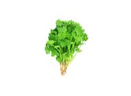Coriander Leaves (Dhania Pata) /Kg