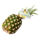 Rompine Nanas 450g