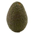 Avocado 1 Piece (2881)