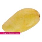 Mangga Golden Dragon