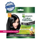 Garnier Color Naturals Express Cream 1.0 Hitam Alami (20ml) 20g - 65600