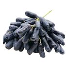 USA Sweet Sapphire Black Grape 500g - 600g (311664201)