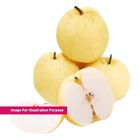 CN Kong Pear 900g - 1.1kg (311664601)