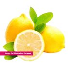Sa Lemon 500g - 600g (311664901)