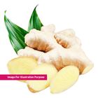CN Ginger Fp 300g - 350g (0411659101)