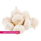Garlic 900g - 1kg (411659701)