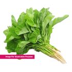 Bayam 350g (9555618900316)