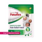 Panaflex Pain Relief Patch 2 Pieces - 121076591