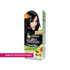 Garnier Color Naturals Creme Riche 1.0 Black 1 Piece - 121101615