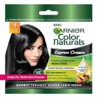 Garnier Color Natural SCH 1.00 35ml - 121106165