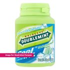 Wrigley's Doublemint Bottle - Cool Menthol & Eucalyptus 40 Pieces I 502616