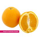 Navel Orange XL 1 Piece (4467)