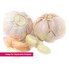 Bawang Putih / Garlic - 2557
