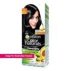 GARNIER HAIR COLOR Color Naturals 1 Black 1's - 89827