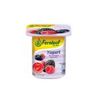 Fernleaf Low Fat Yogurt Mixed Berry (110g) | 15061559002-EA