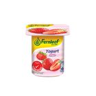 Fernleaf Low Fat Strawberry Yogurt (110g) | 15061559004-EA
