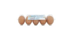 Nutriplus Classic Eggs Size M (10pcs) | 10005278-EA