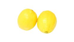 Lemon Size Medium (1 Piece) | 10006510-EA