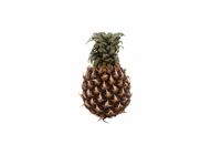 Pineapple Josapine (Gred B) | 10006254-EA