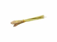 Lemongrass (3s) | 10006316-EA