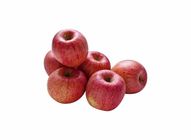 Fuji Apple (8s) | 10029667-EA