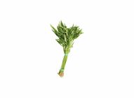 Kangkung / Water Spinach (500g) | 10043897-EA