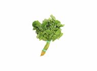 Round Green Spinach (500g) | 10043901-EA