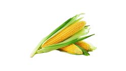 Jagung 2pcs