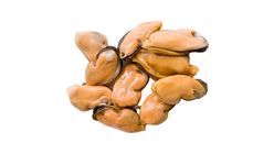 Mussel Meat 1kg