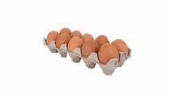 Fresh Egg 10 Pieces