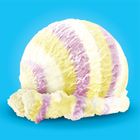 Nestle Frozen Confection Mat Kool Magic 6L