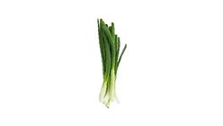 Daun Bawang (Spring Onion) Kg 0.15kg