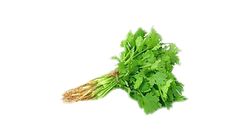 Daun Ketumbar ( Coriander) Kg