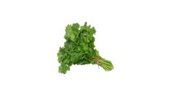 Daun Sup Kg