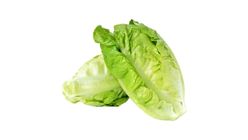 Yau Mak Tham Kg 0.3kg