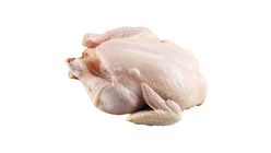 Whole Chicken without Head & Feet Â±1.7kg