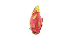 White Dragon Fruit 1pc
